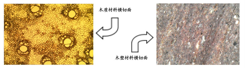 默認標題__2023-02-27+15_44_48_副本_副本.jpg